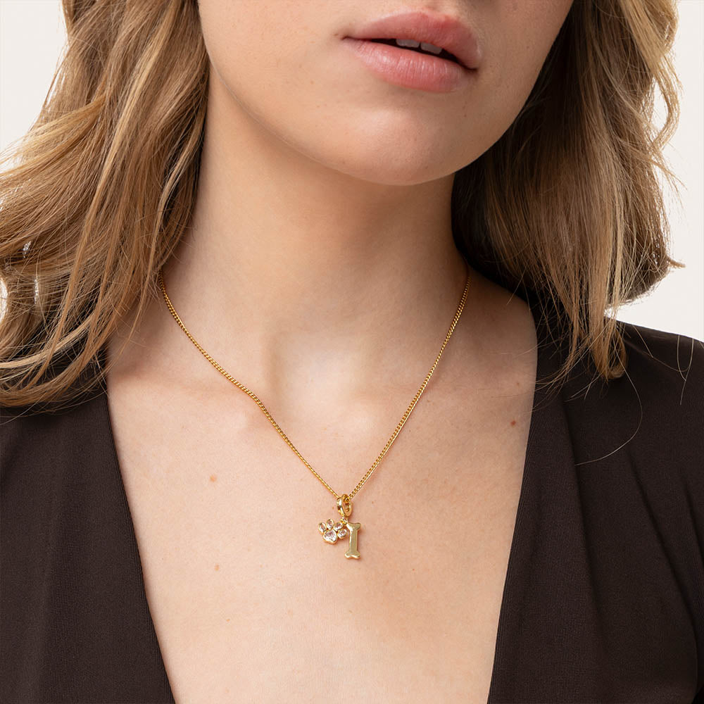 Ogrlica COLLANA KG2029